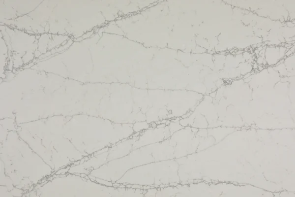 Calacatta Monaco - Image 2