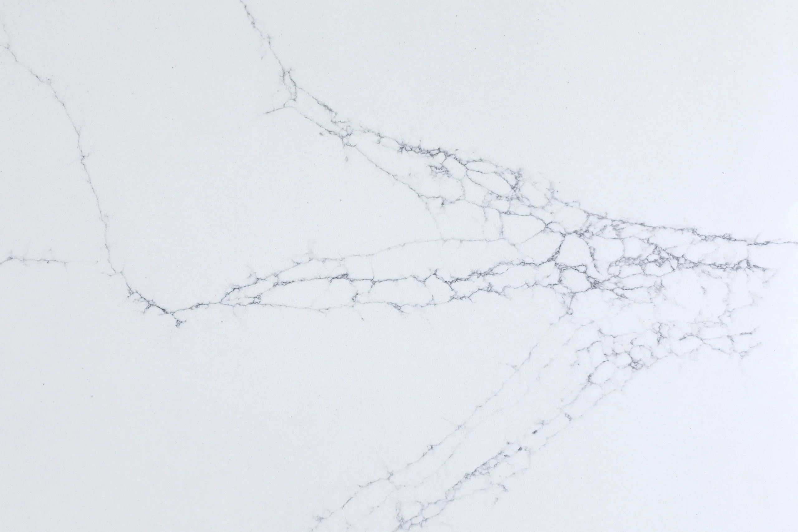 Calacatta Nova Grey - Image 1