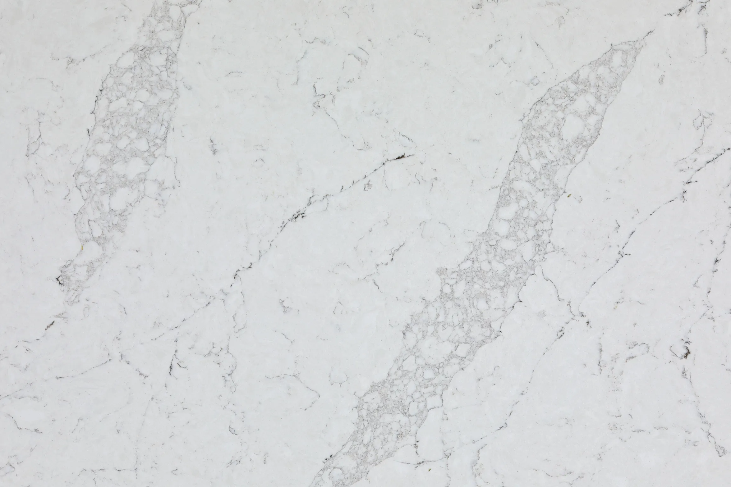 Calacatta Oyster - Image 1