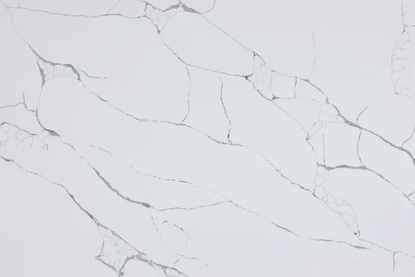 Calacatta Tree - Image 2