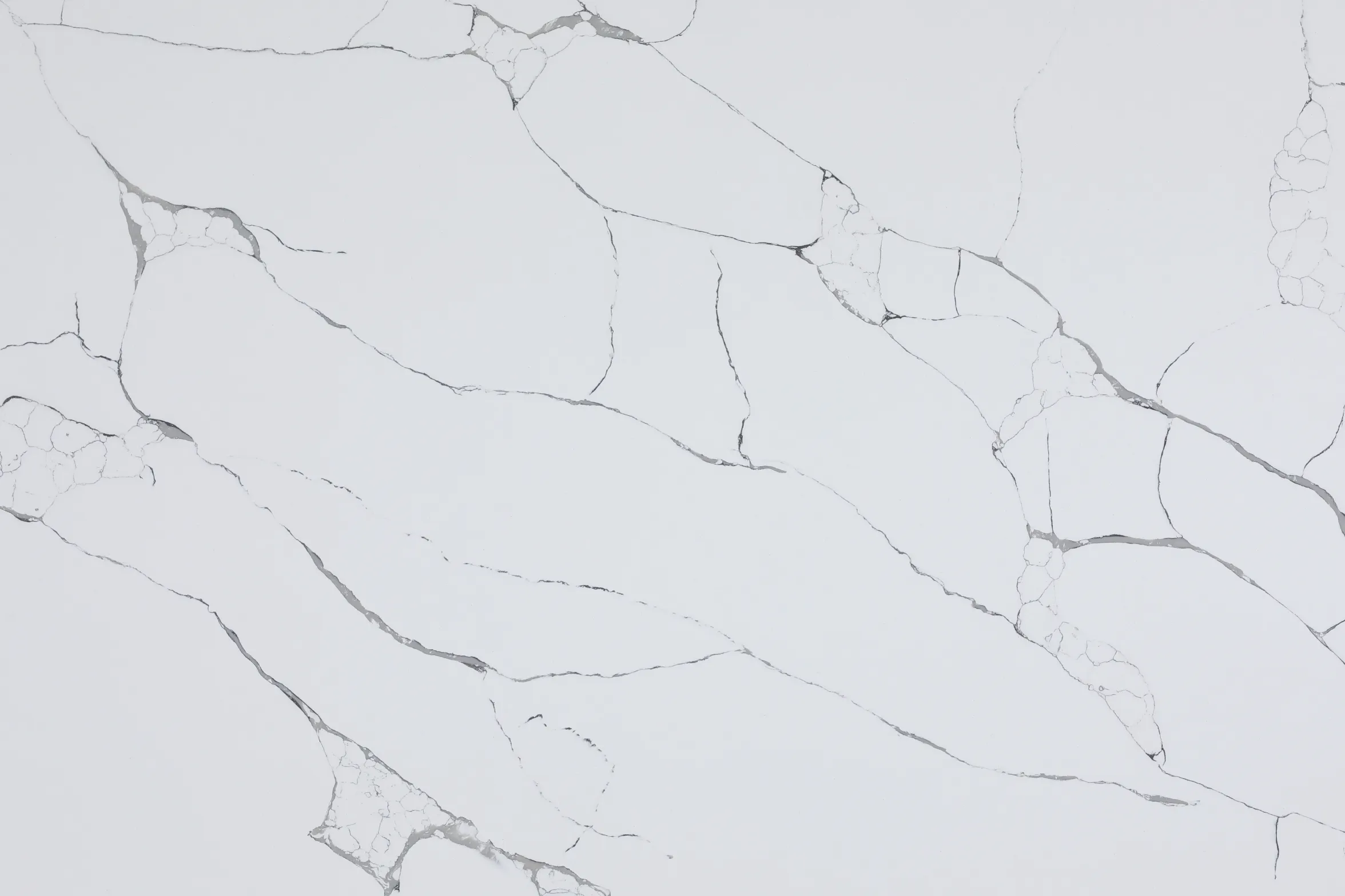 Calacatta Tree - Image 2