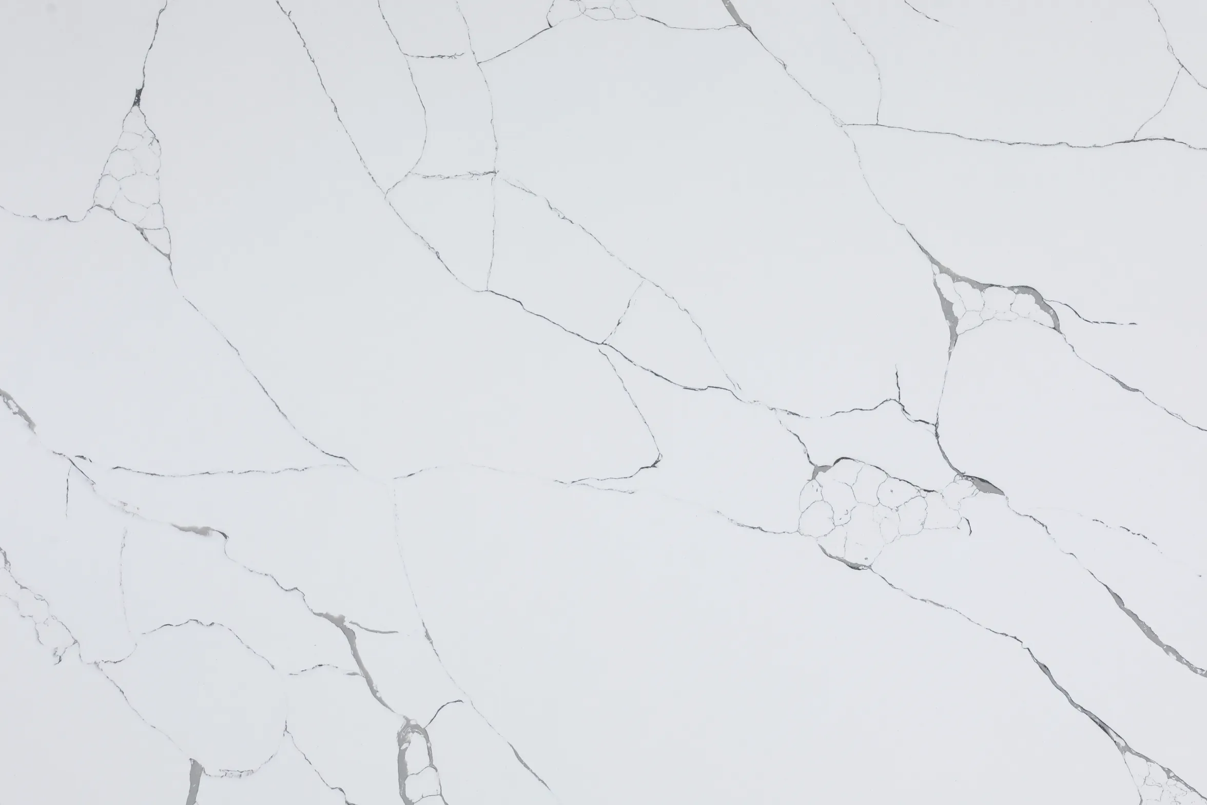 Calacatta Tree - Image 1