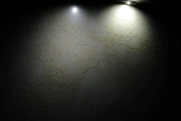 Rock Metallic - Image 4